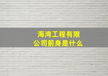 海湾工程有限公司前身是什么