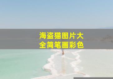 海盗猫图片大全简笔画彩色