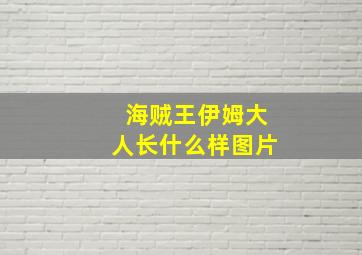 海贼王伊姆大人长什么样图片