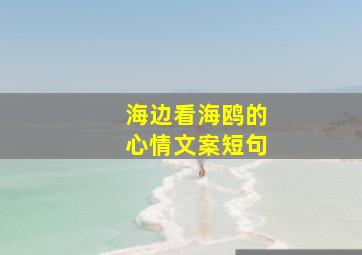 海边看海鸥的心情文案短句