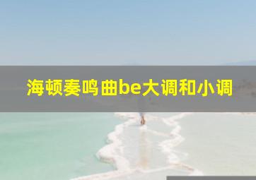 海顿奏鸣曲be大调和小调