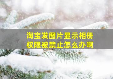 淘宝发图片显示相册权限被禁止怎么办啊