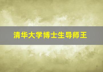 清华大学博士生导师王