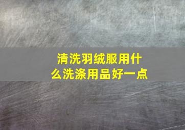 清洗羽绒服用什么洗涤用品好一点