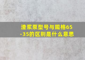 渣浆泵型号与规格65-35的区别是什么意思