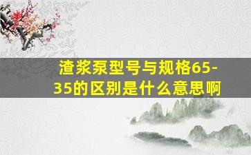 渣浆泵型号与规格65-35的区别是什么意思啊