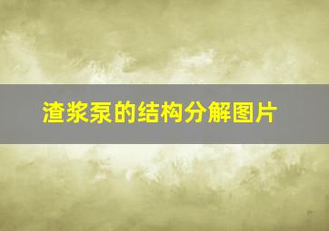 渣浆泵的结构分解图片