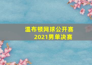 温布顿网球公开赛2021男单决赛