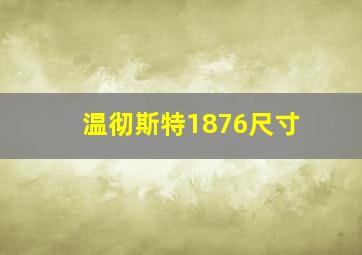 温彻斯特1876尺寸