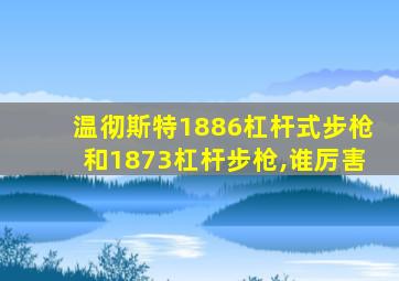 温彻斯特1886杠杆式步枪和1873杠杆步枪,谁厉害