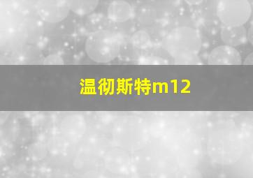 温彻斯特m12