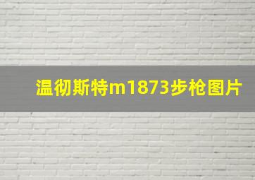 温彻斯特m1873步枪图片