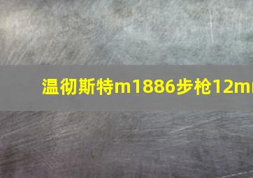 温彻斯特m1886步枪12mm