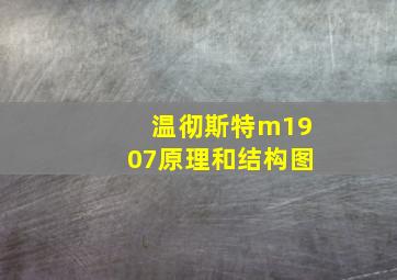 温彻斯特m1907原理和结构图