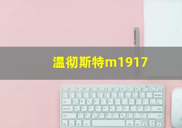 温彻斯特m1917