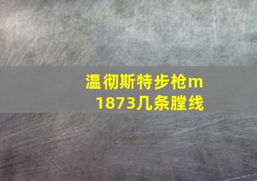 温彻斯特步枪m1873几条膛线