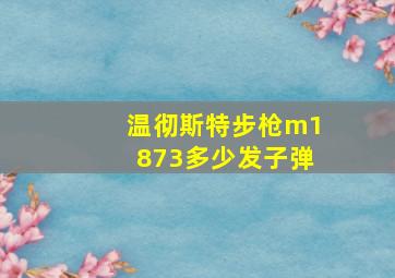 温彻斯特步枪m1873多少发子弹