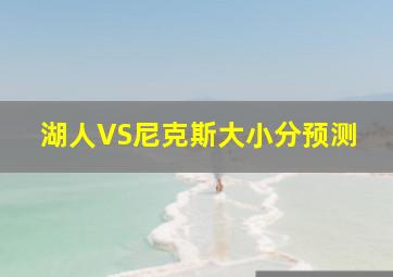 湖人VS尼克斯大小分预测