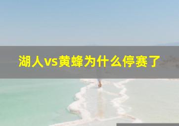 湖人vs黄蜂为什么停赛了