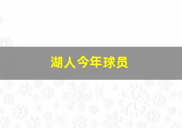 湖人今年球员