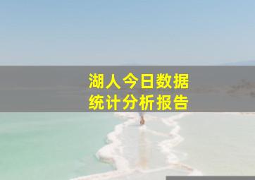 湖人今日数据统计分析报告