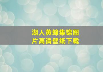 湖人黄蜂集锦图片高清壁纸下载