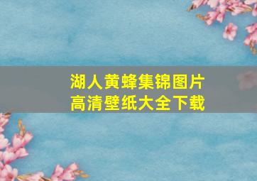 湖人黄蜂集锦图片高清壁纸大全下载