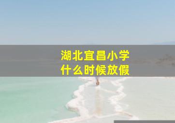 湖北宜昌小学什么时候放假