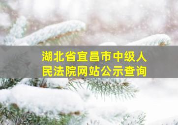 湖北省宜昌市中级人民法院网站公示查询