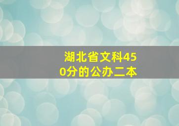 湖北省文科450分的公办二本