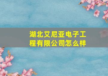 湖北艾尼亚电子工程有限公司怎么样