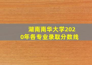 湖南南华大学2020年各专业录取分数线