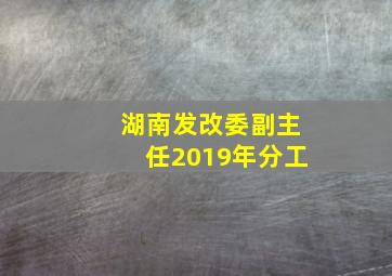 湖南发改委副主任2019年分工