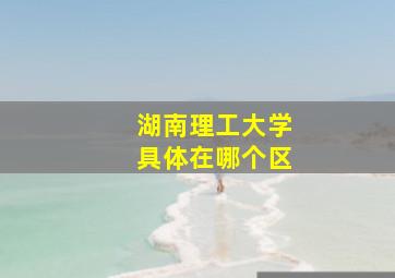 湖南理工大学具体在哪个区