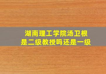 湖南理工学院汤卫根是二级教授吗还是一级