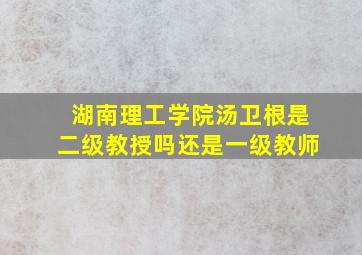 湖南理工学院汤卫根是二级教授吗还是一级教师