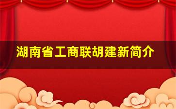 湖南省工商联胡建新简介