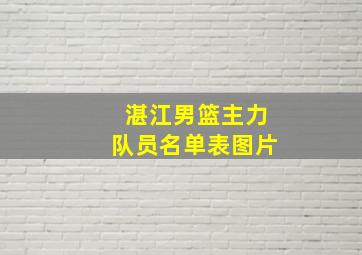 湛江男篮主力队员名单表图片