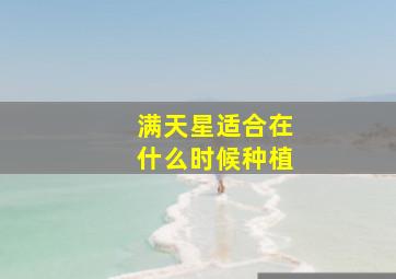 满天星适合在什么时候种植