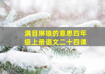 满目琳琅的意思四年级上册语文二十四课