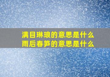 满目琳琅的意思是什么雨后春笋的意思是什么