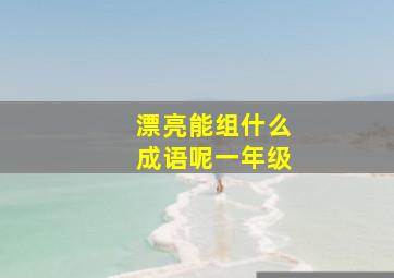 漂亮能组什么成语呢一年级