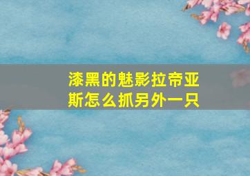 漆黑的魅影拉帝亚斯怎么抓另外一只