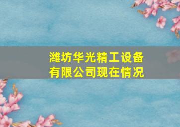 潍坊华光精工设备有限公司现在情况