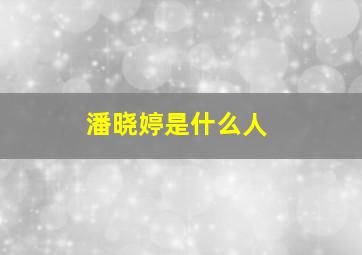 潘晓婷是什么人