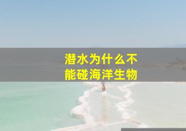 潜水为什么不能碰海洋生物