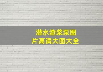 潜水渣浆泵图片高清大图大全