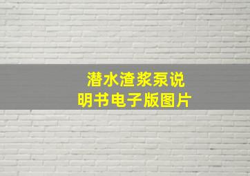 潜水渣浆泵说明书电子版图片