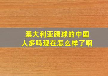 澳大利亚踢球的中国人多吗现在怎么样了啊