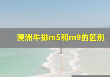 澳洲牛排m5和m9的区别